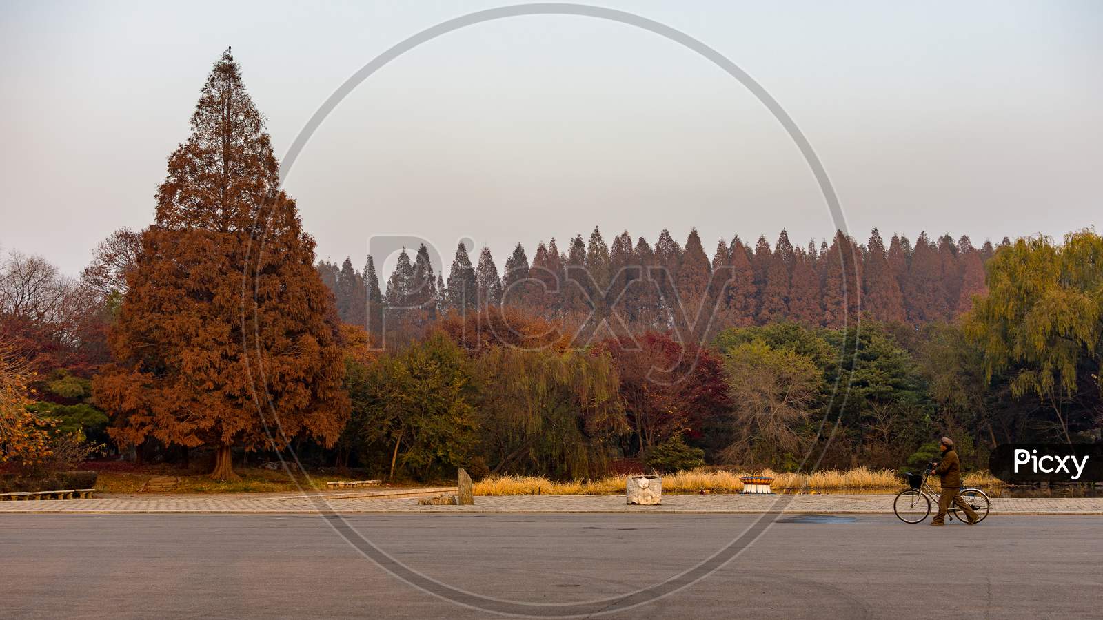 Park At Mangyongdae, Birthplace Of North Korean Leader Kim Il-Sung In Pyongyang, North Korea