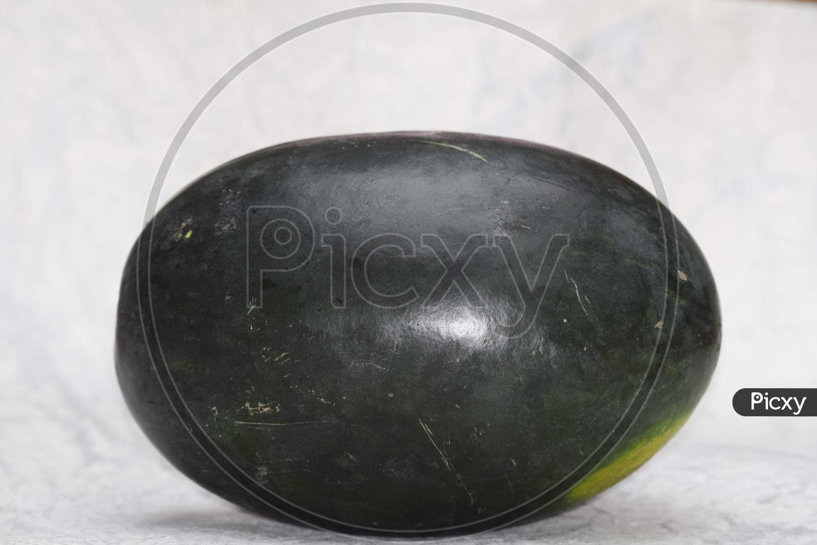 Watermelon Fruit From Asia India. Fresh Indian Fruit Water Melon Also Known As Tarbuz In India, Pakistan, Nepal Isolated Single Piece On White Background