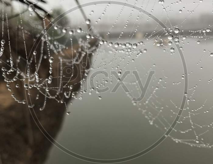 Winter droplets to a spider web Misty foggy early mornings in an aquaculture farm
