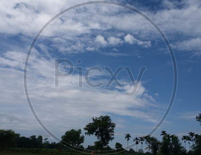 Sky could view photo with tree