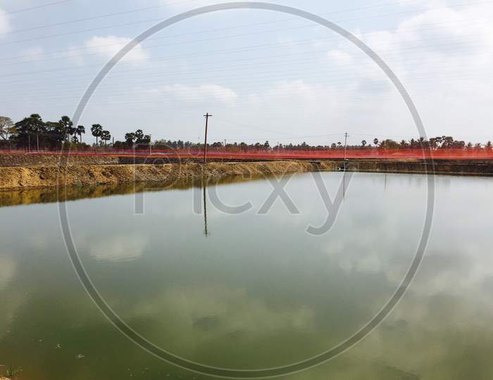 A large view of pond water