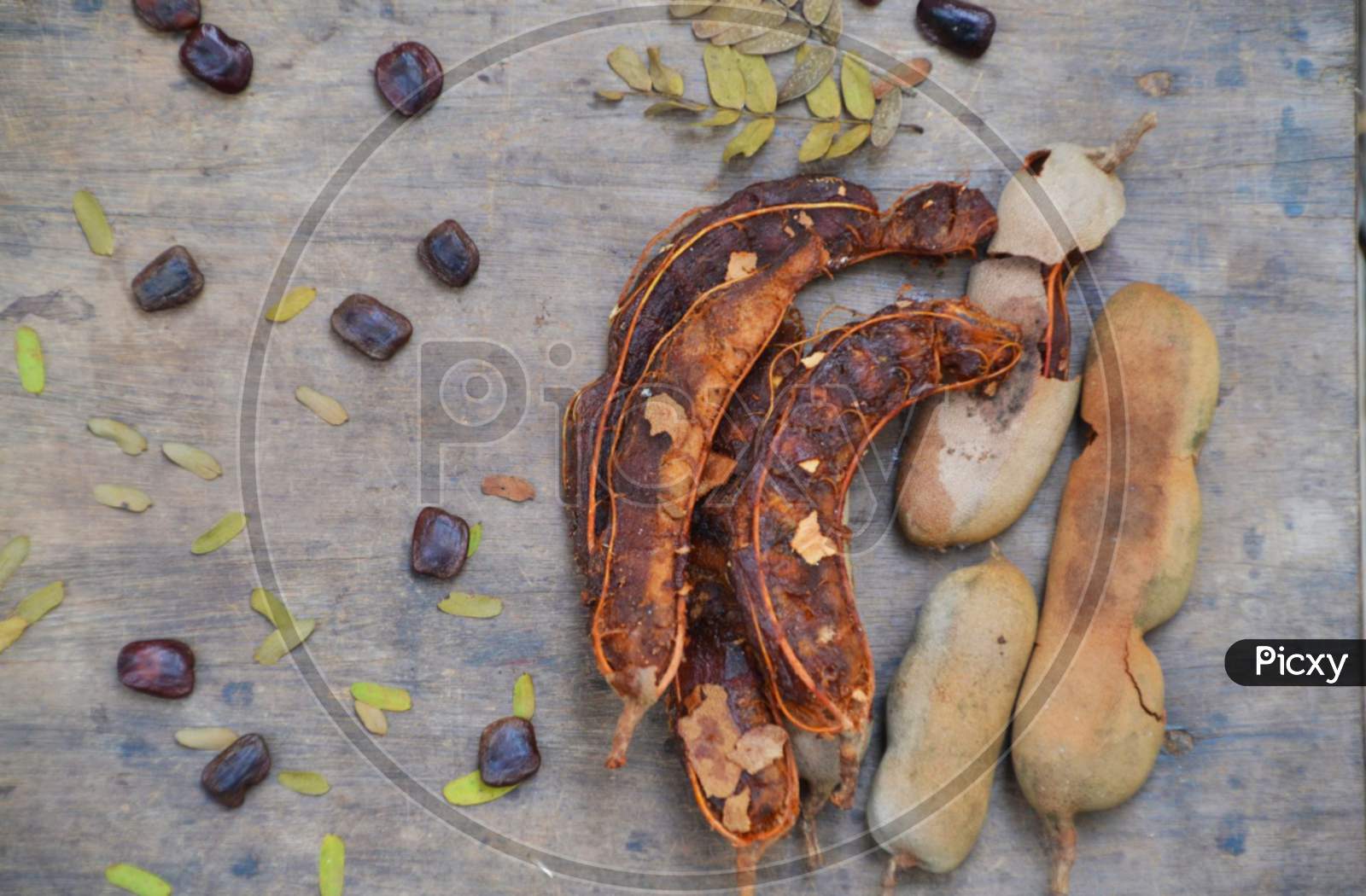 Sour tamarind and its seeds