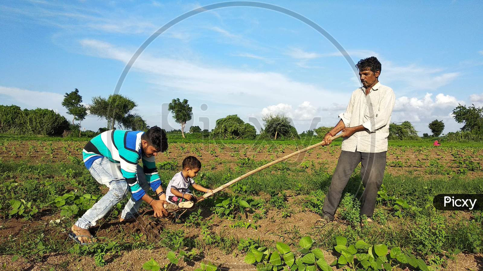17 july 2020 india: A young Indian child is having fun on a farm with his grandfather and uncle