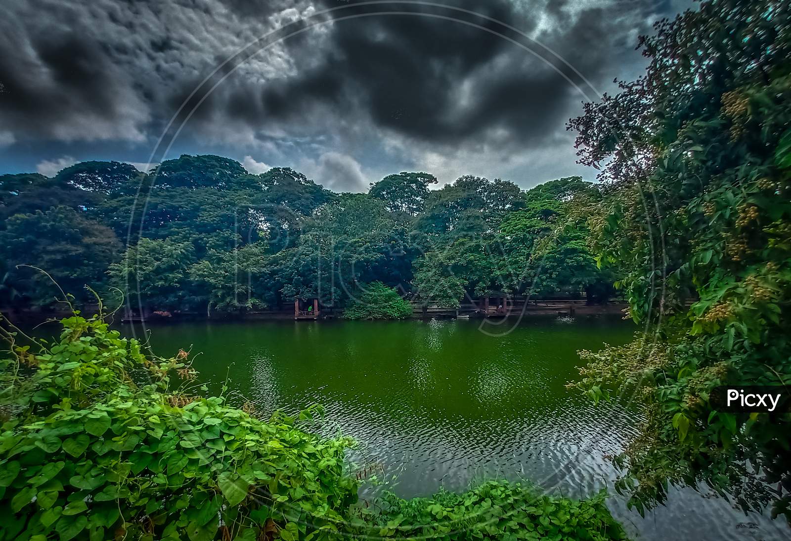 A Beautiful Lake In A Park Under The Cloudy Sky Surround By Beautiful Tree