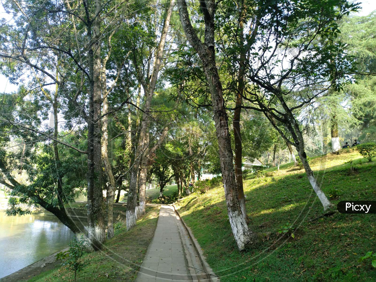 image-of-a-narrow-road-beside-a-lake-and-shader-by-green-trees-ej059256