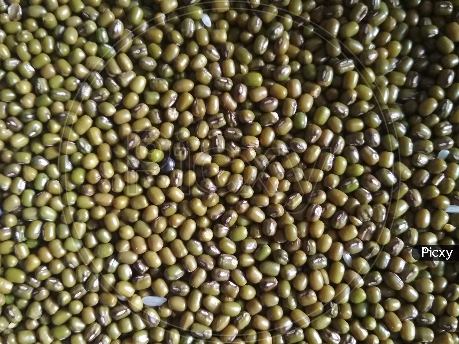 Green gram beans