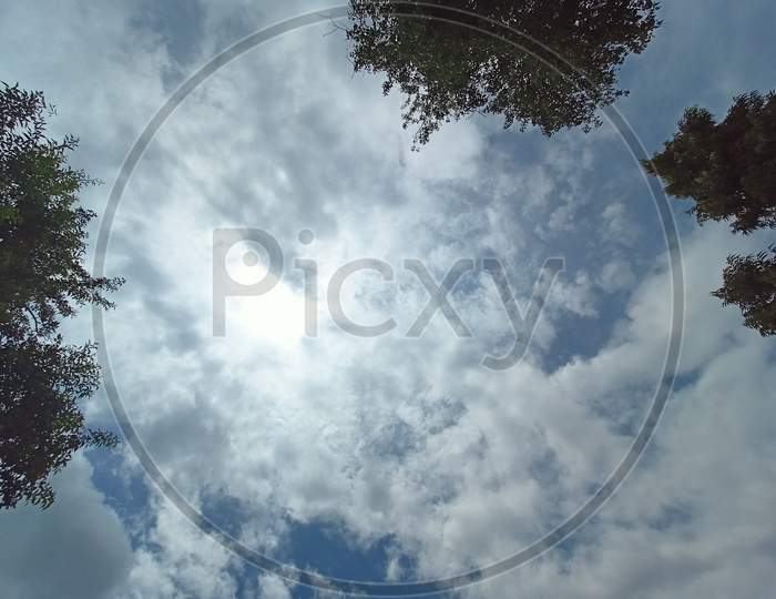 Sky Scape Of Blue Sky And Cloud With Tree Background, Texture