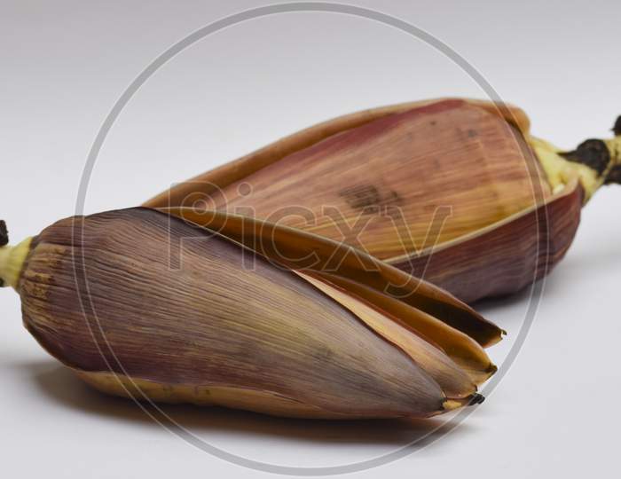 Exotic Vegetable Edible Banana Flower Or Banana Blossom. Widely Used In Various Recipes In Asia, Indian Subcontinent