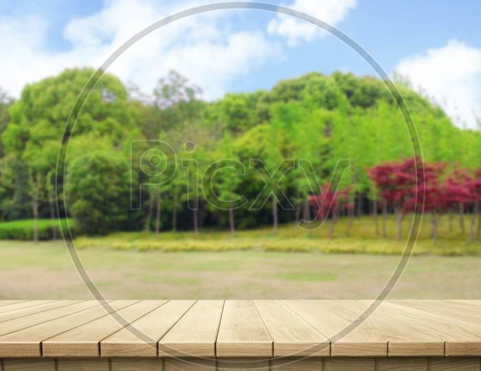 Colorful wooden platform landscape: garden / park.  (3D rendering computer digitally generated illustration.)