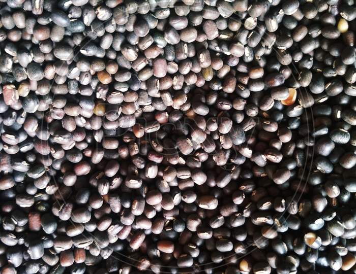 Black gram beans