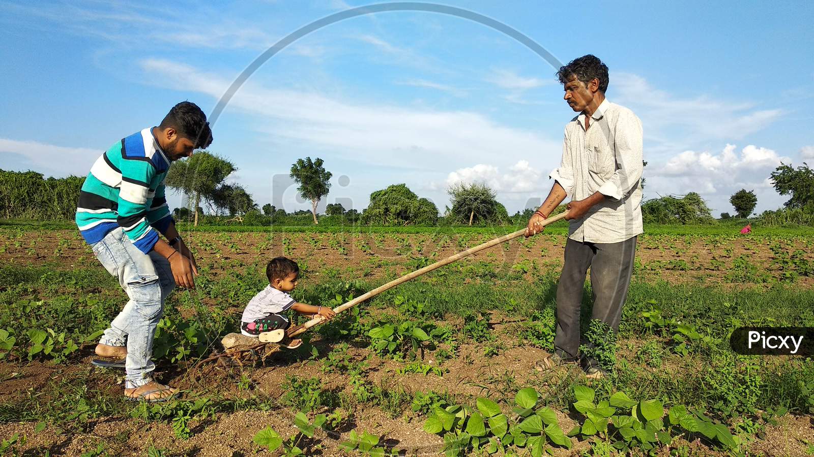 17 july 2020: A young Indian child is having fun on a farm with his grandfather and uncle