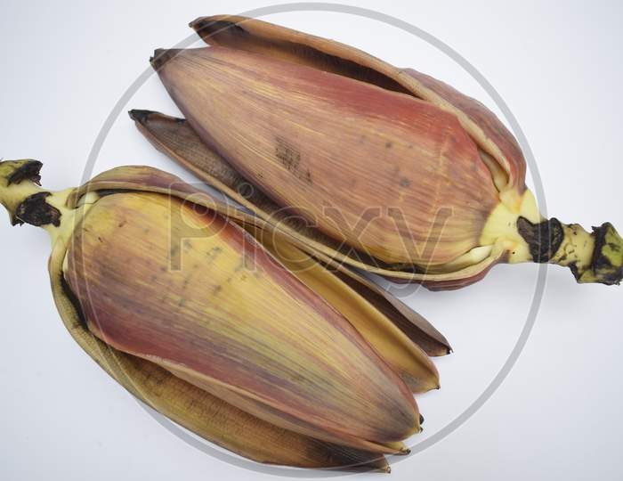 Exotic Vegetable Edible Banana Flower Or Banana Blossom. Widely Used In Various Recipes In Asia, Indian Subcontinent