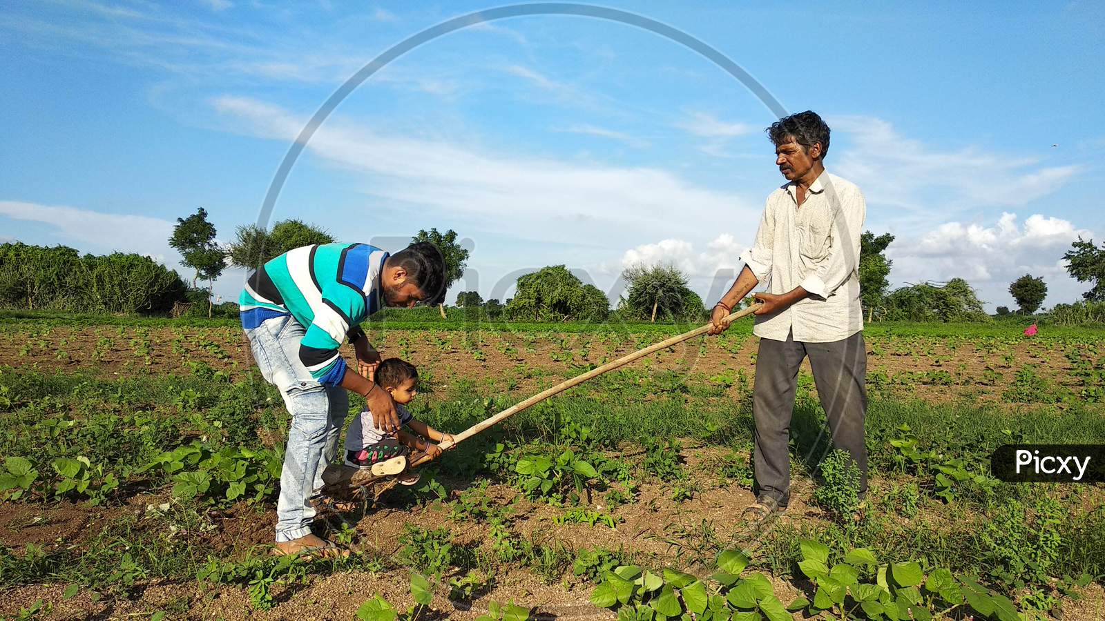17 july 2020 india: A young Indian child is having fun on a farm with his grandfather and uncle