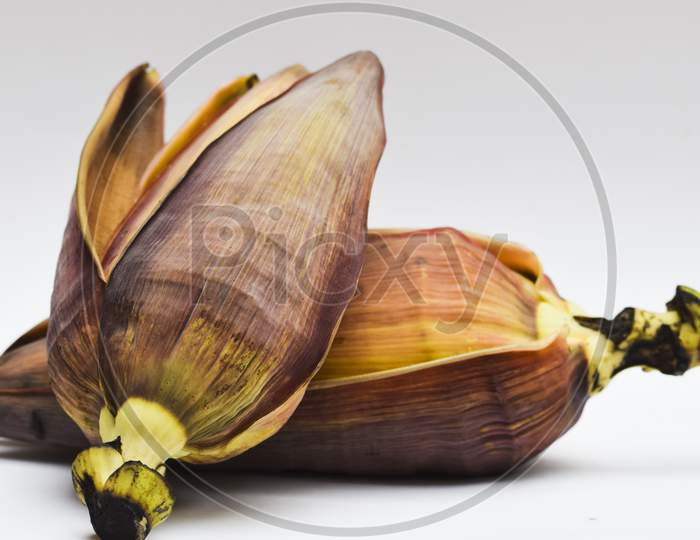 Raw Banana Flower Also Known As Banana Blossom Or Banana Heart On White Background. Curry Sabji South Indian Or Pakistani Or Nepali Vegetable Exotic Traditional