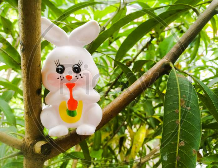 Toy Rabbit Of Small Size In White Color And Have Black Eyes Sitting In A Tree