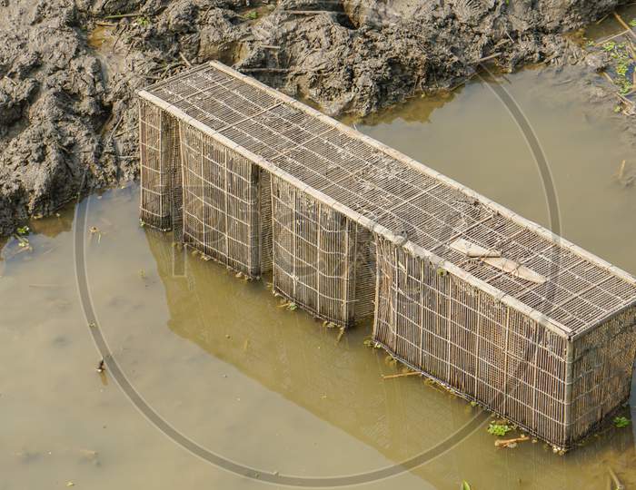 Bangladeshi Fish Catching Instrument. Fish Trapping In Bamboo Cage.