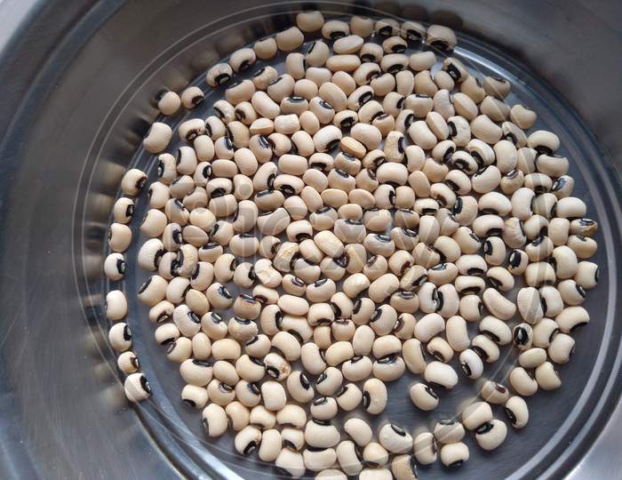 Black eyed peas is placed in a stainless steel plate. Grain
