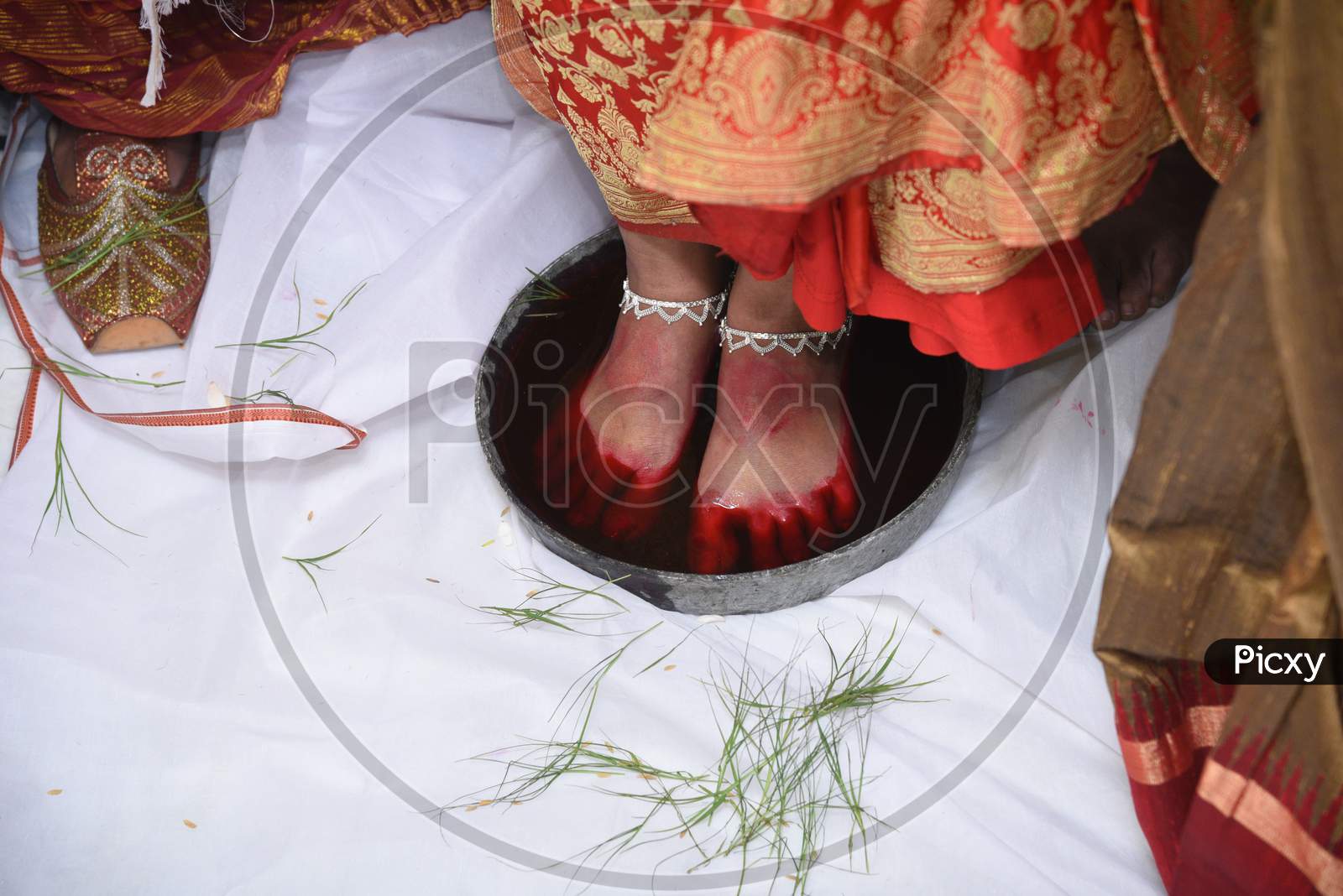 Bengali Bride'S Keeping First Foot In Milk And Rose Petal Tray At Husband'S House.