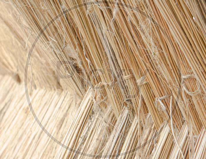 Image of Jute Is Extracted From The Stick Of The White Jute Plant