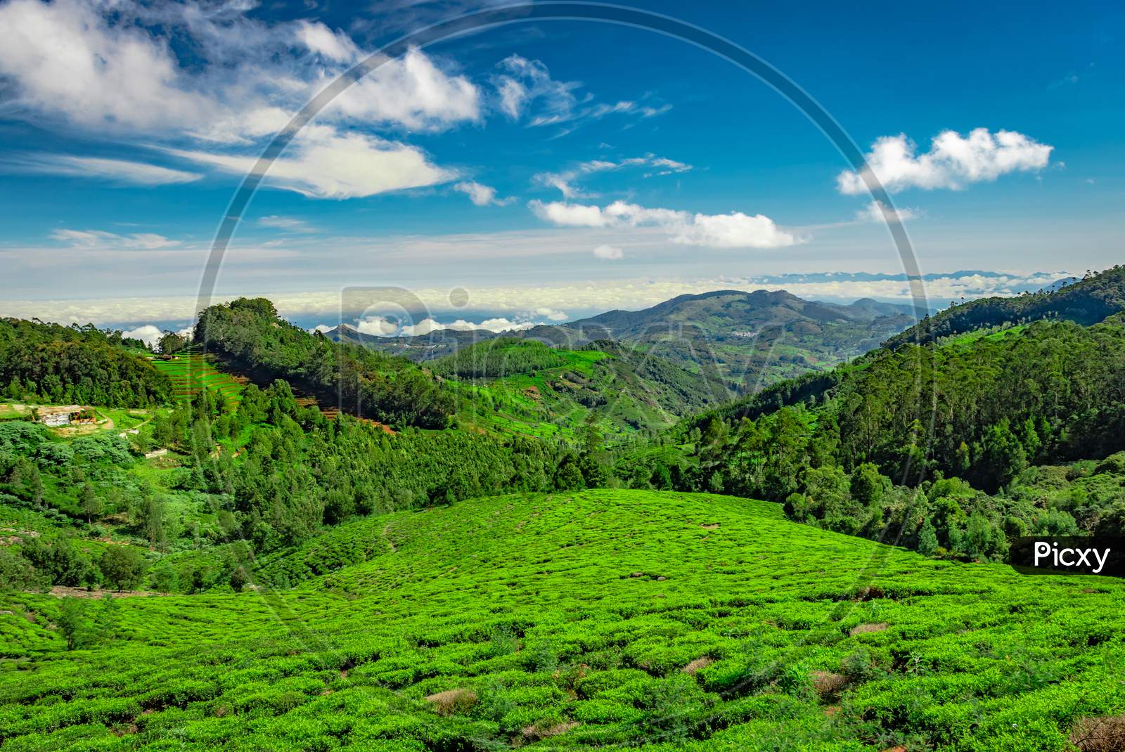 Mountain Range With Tea Garden And Amazing Blue Sky Flat Angle Shot