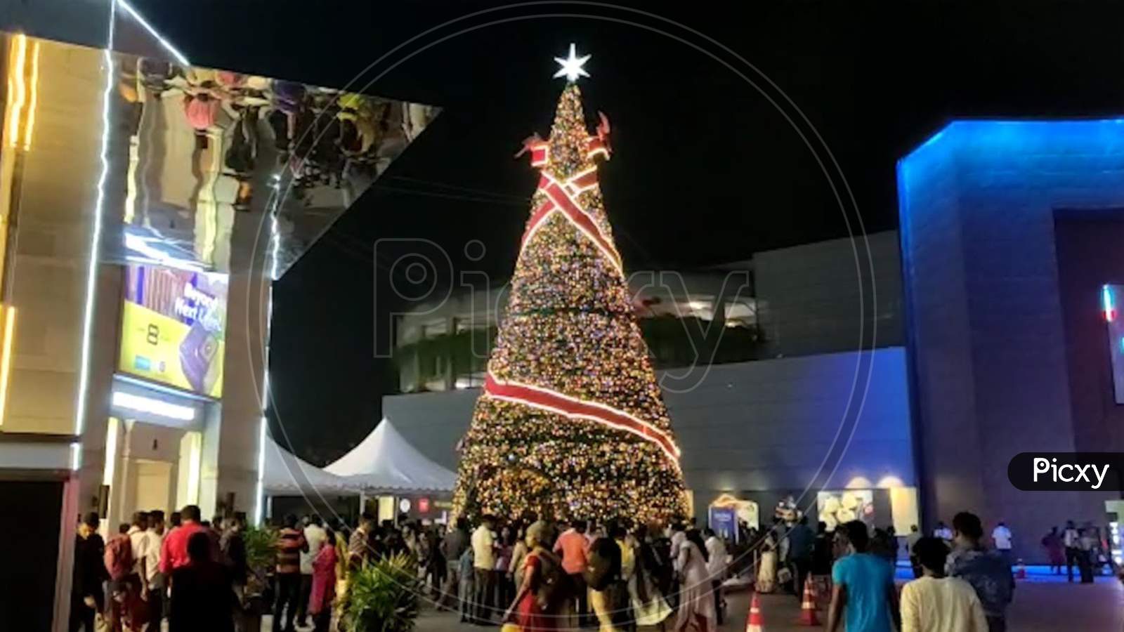 Amazing Christmas tree with lighting