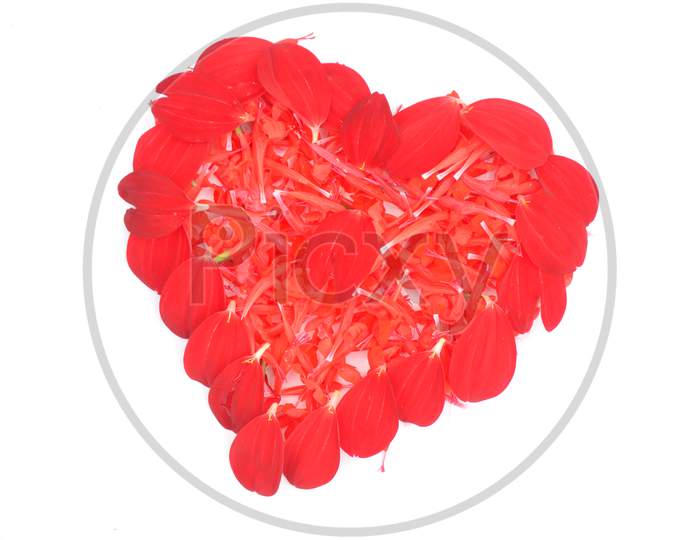 Illustration Of Red Flowers Love Heart Isolated In The White Background