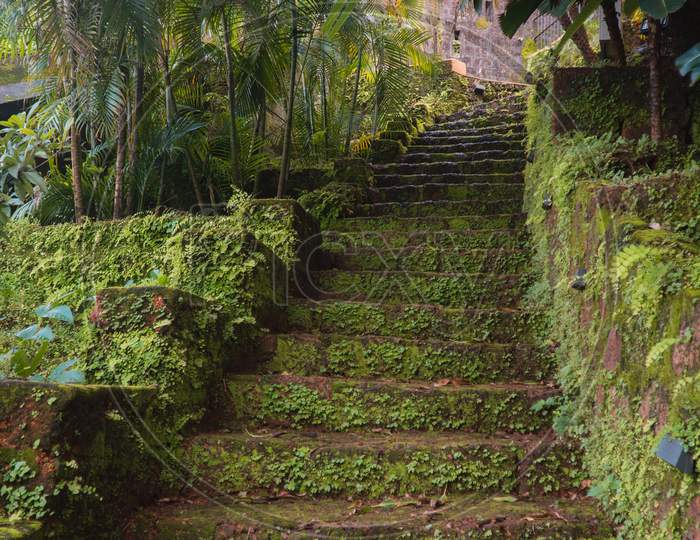 Stone Stairs Leading To The Top