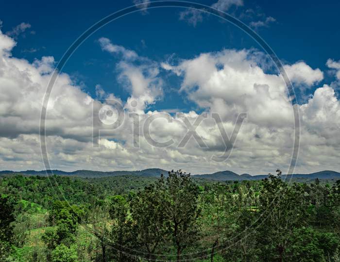 Tea Garden With Green Forests And Amazing Blue Sky