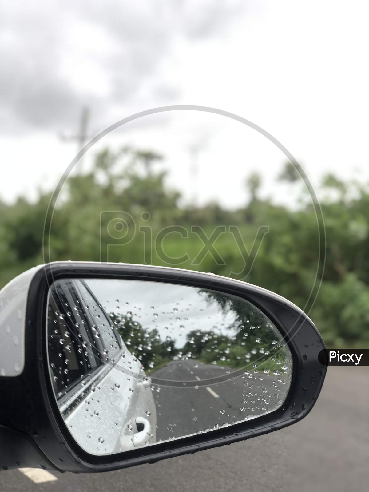 A view of portrait side mirror of a car with nature