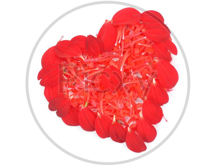 Illustration Of Red Flowers Love Heart Isolated In The White Background