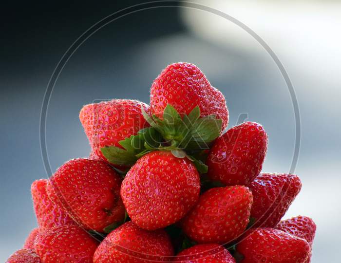 strawberries arranged beautifully in Mahabaleshwar. These were plucked fresh from the farm and kept for selling to the food lovers. Strawberry considered to be very healthy for human skin.