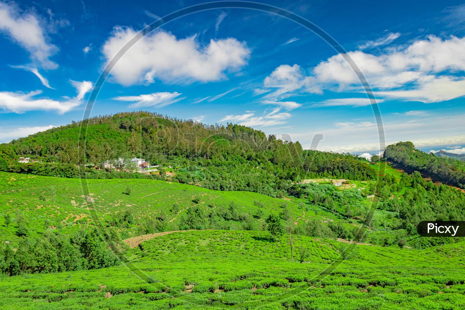 Mountain With Tea Garden And Amazing Blue Sky Flat Angle Shot