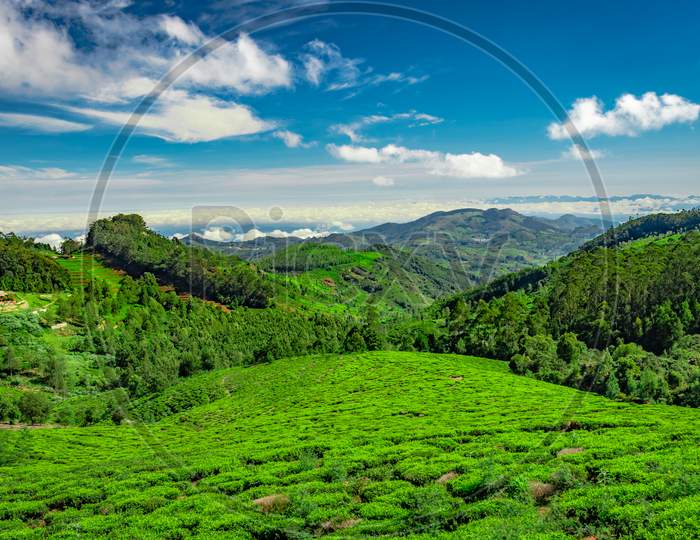 Mountain Range With Tea Garden And Amazing Blue Sky Flat Angle Shot