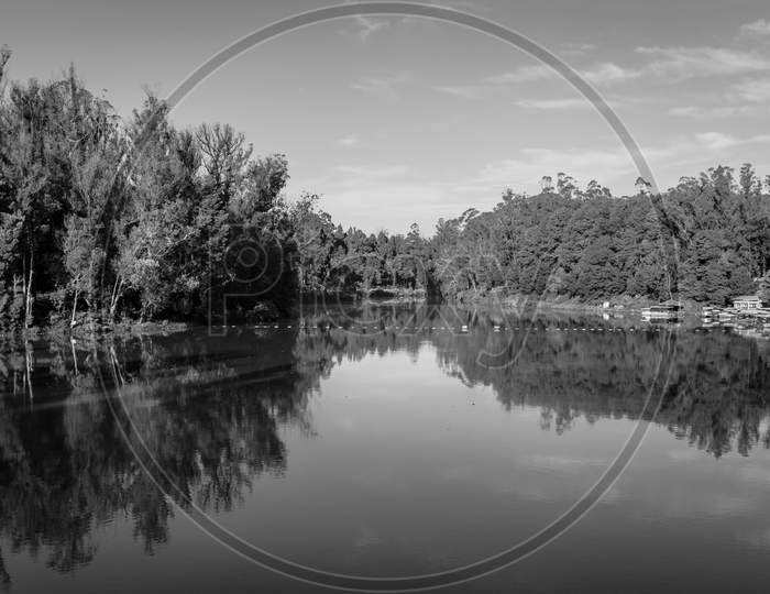 Lake Pristine With Green Forest Water Reflection And Bright Blue Sky At Morning In Black And White