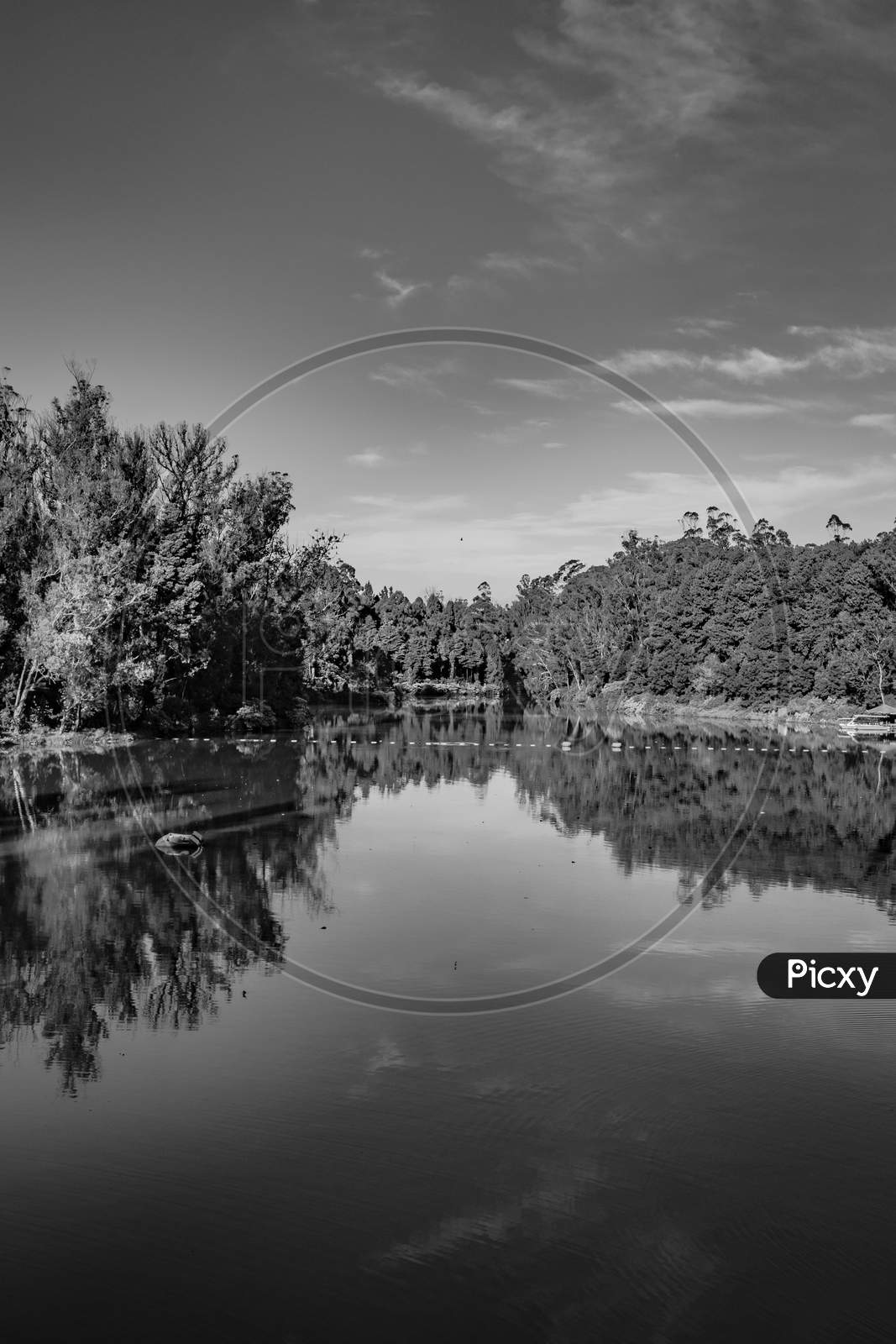 Lake Pristine With Green Forest Water Reflection And Bright Blue Sky At Morning In Black And White