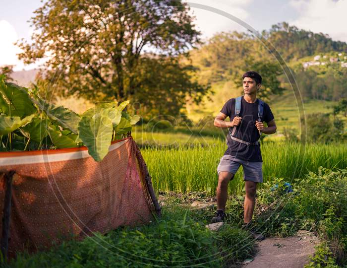 Young Indian Boy Standing In The Green Fields During Sunset Looking At The Sun. Travel And Adventure.