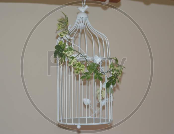 A beautiful empty birds cage leaves around