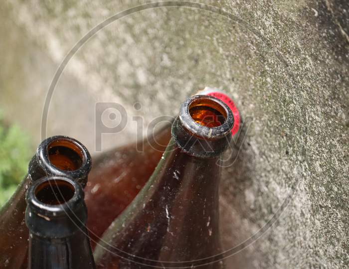Beer bottle image, stock photography