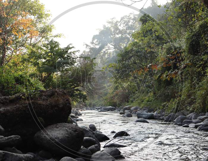 Beautiful nature of Assam, stock image