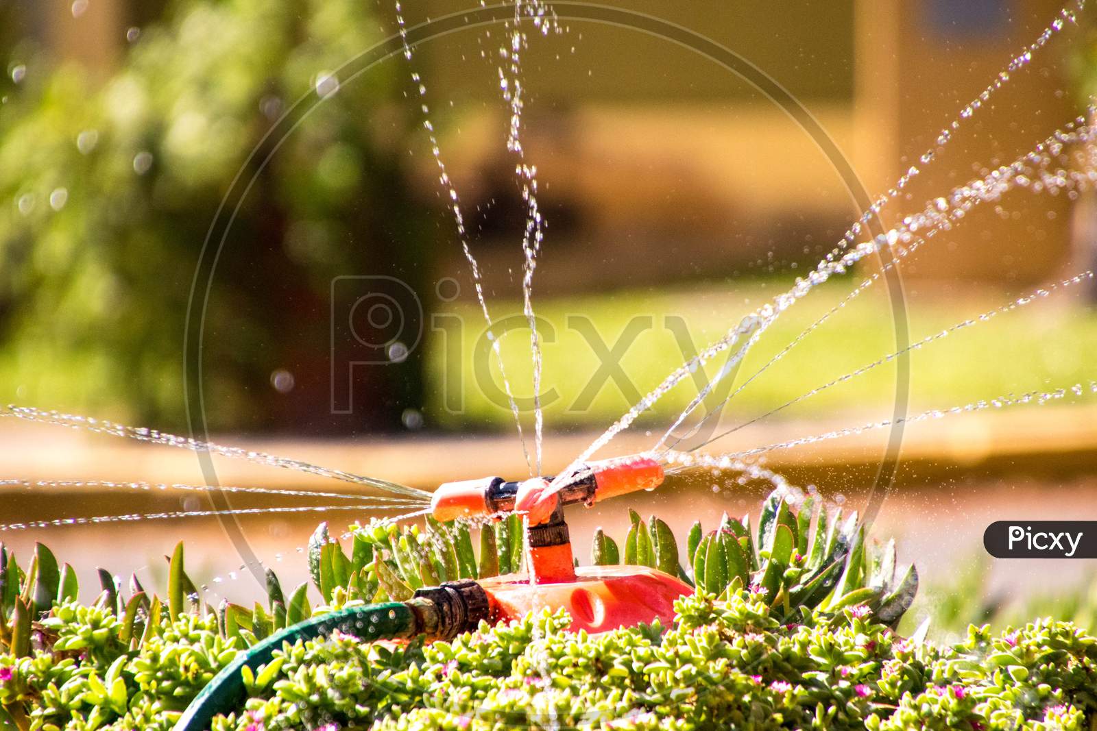 Garden Water Sprinkler