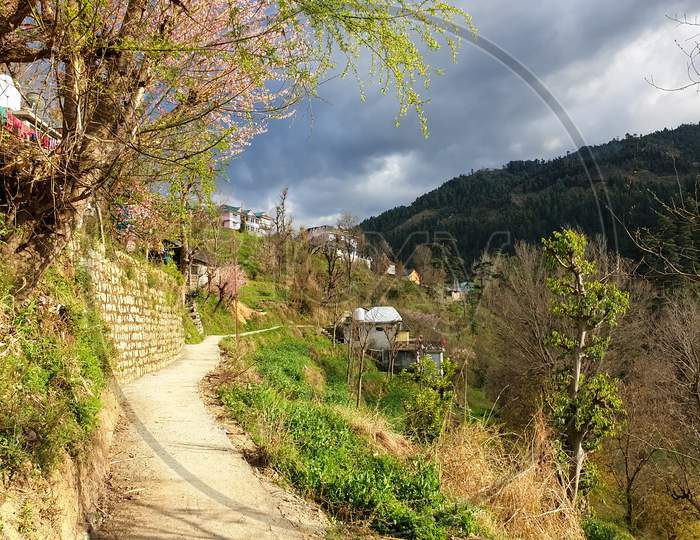 North Indian Village - Beautiful view of a village short way in spring season of Himachal Pradesh, India
