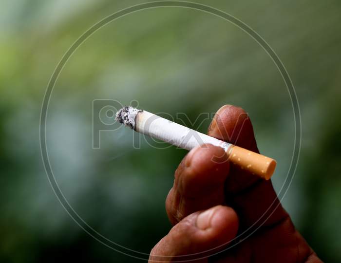 Male Fingers Holding A Burning Cigarette