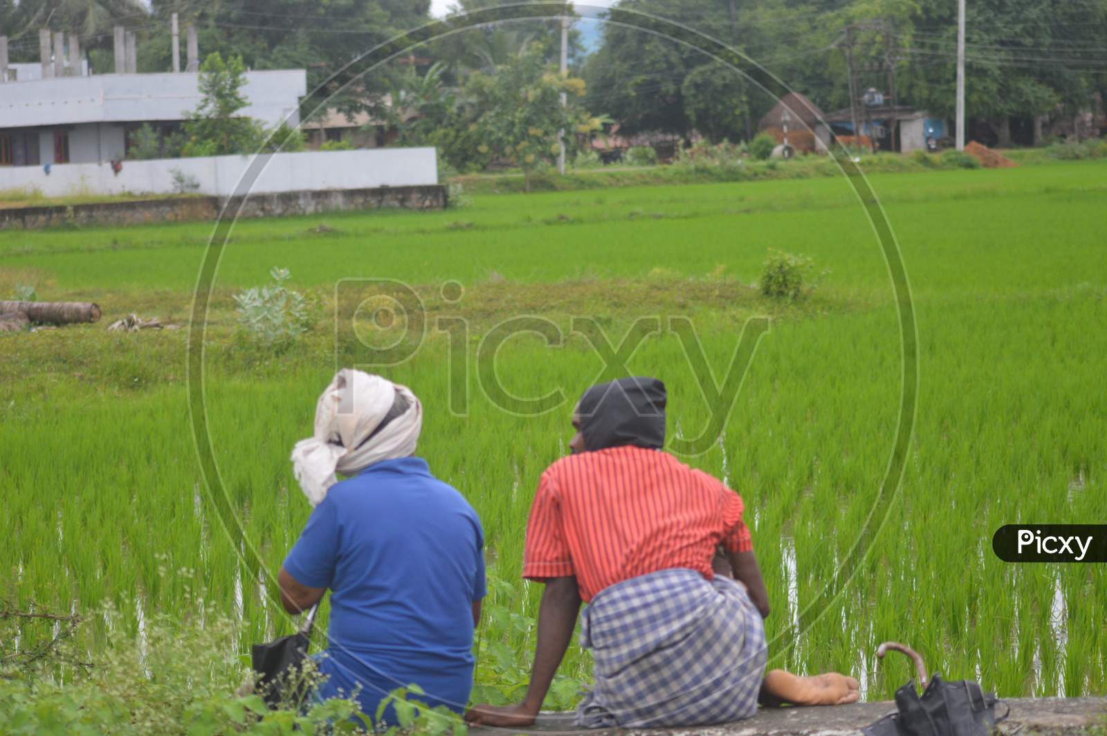 Two Indian farmers friends enjoying evening View