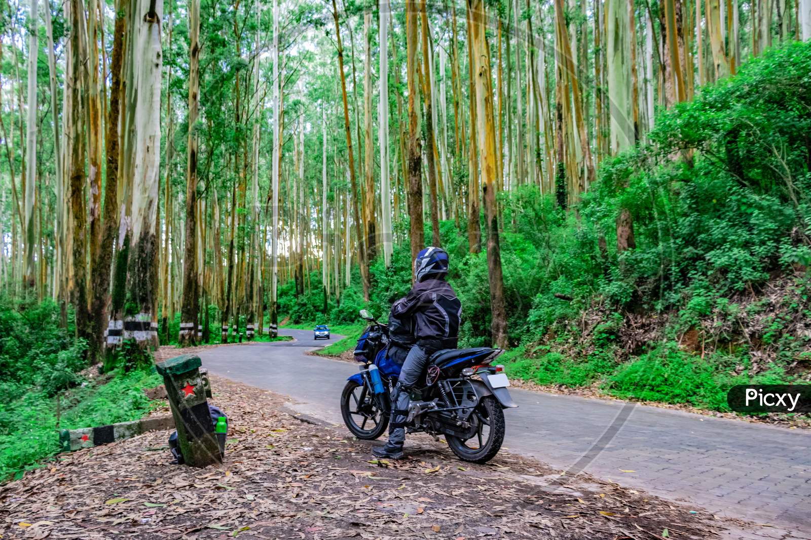 Motorcycle Rider Isolated On Empty Tarmac Road With Lush Green Forest