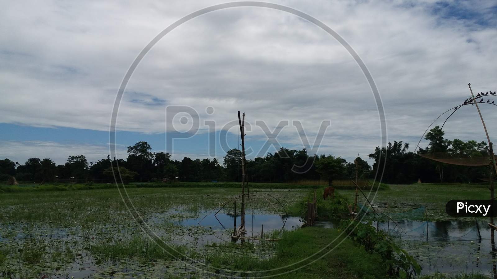 Farm river water background photo