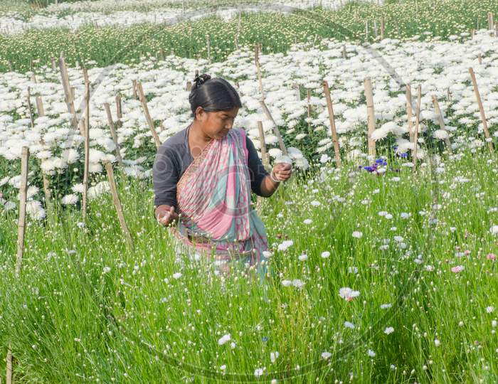 female flower farmer