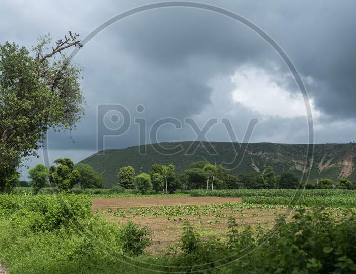 crop farming fields in countryside rural village area
