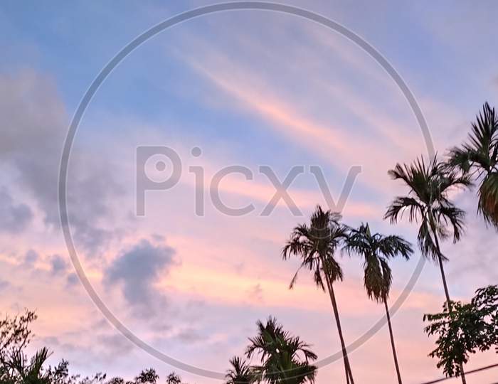 Pink sky in sunset