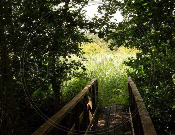 Shady Wooden Bridge With Handrails Leading Through Trees To Light