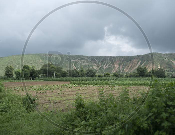 crop farming fields in countryside rural village area